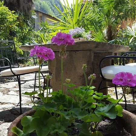 La Camelia Appartamento Dervio
